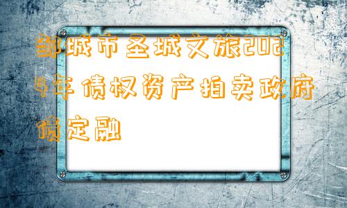 邹城市圣城文旅2024年债权资产拍卖政府债定融