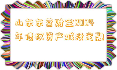 山东东营财金2024年债权资产城投定融