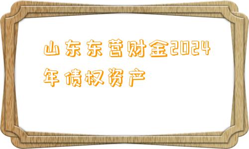 山东东营财金2024年债权资产