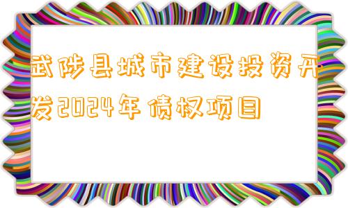 武陟县城市建设投资开发2024年债权项目