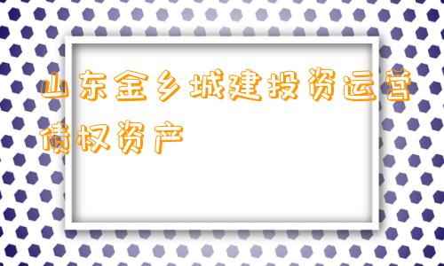 山东金乡城建投资运营债权资产