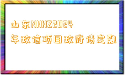 山东NHHZ2024年政信项目政府债定融