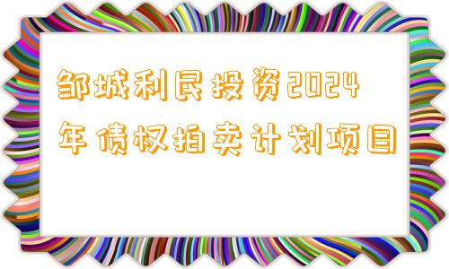 邹城利民投资2024年债权拍卖计划项目