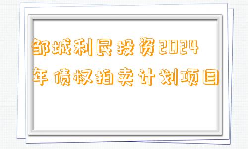 邹城利民投资2024年债权拍卖计划项目