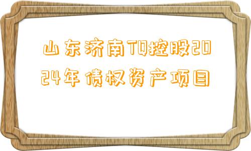 山东济南TQ控股2024年债权资产项目