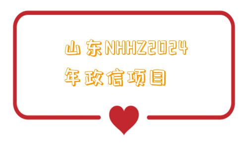 山东NHHZ2024年政信项目