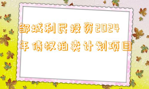 邹城利民投资2024年债权拍卖计划项目