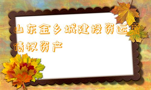 山东金乡城建投资运营债权资产