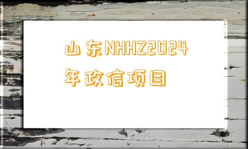 山东NHHZ2024年政信项目