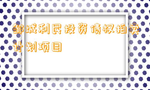 邹城利民投资债权拍卖计划项目