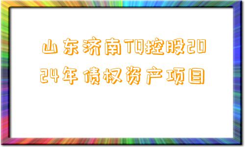 山东济南TQ控股2024年债权资产项目