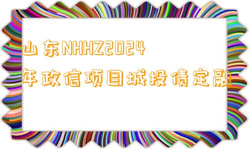 山东NHHZ2024年政信项目城投债定融