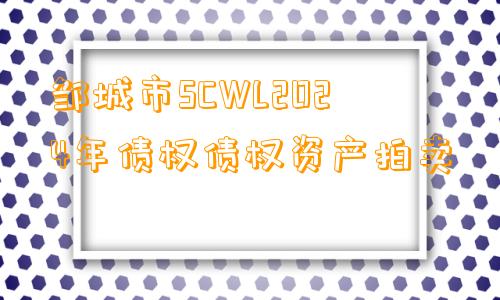 邹城市SCWL2024年债权债权资产拍卖