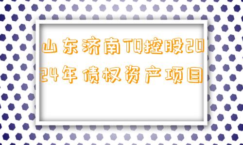 山东济南TQ控股2024年债权资产项目