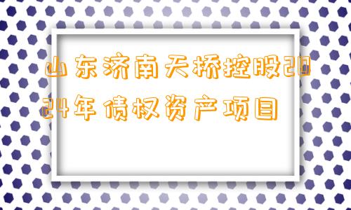 山东济南天桥控股2024年债权资产项目