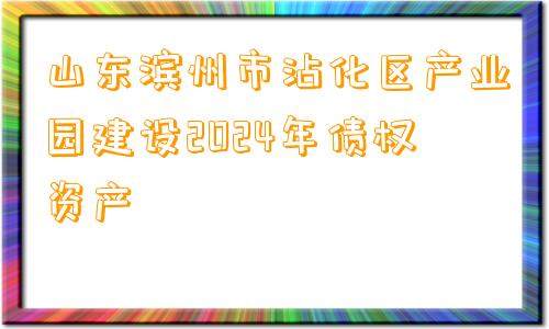 山东滨州市沾化区产业园建设2024年债权资产