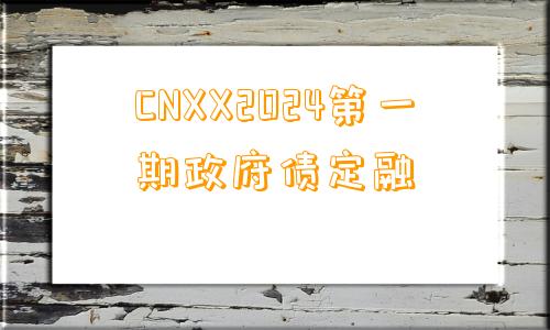 CNXX2024第一期政府债定融