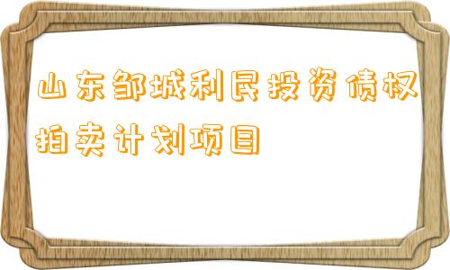 山东邹城利民投资债权拍卖计划项目