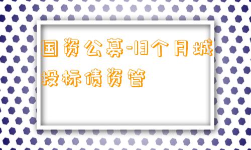 国资公募-13个月城投标债资管