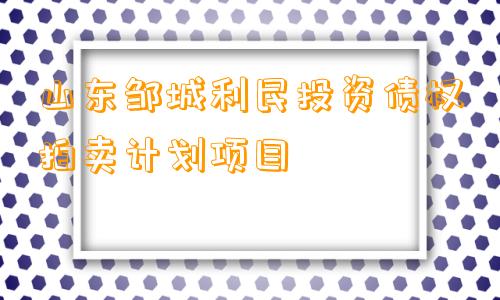 山东邹城利民投资债权拍卖计划项目