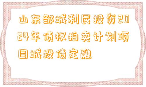 山东邹城利民投资2024年债权拍卖计划项目城投债定融