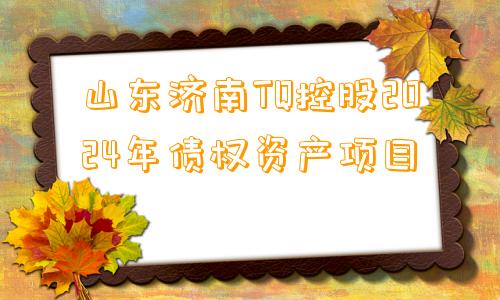 山东济南TQ控股2024年债权资产项目