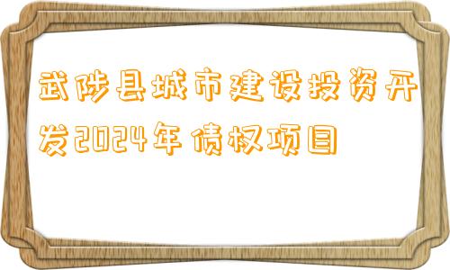 武陟县城市建设投资开发2024年债权项目