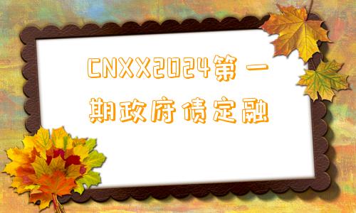 CNXX2024第一期政府债定融