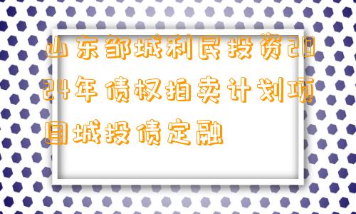 山东邹城利民投资2024年债权拍卖计划项目城投债定融