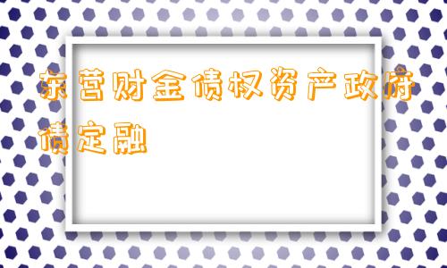 东营财金债权资产政府债定融