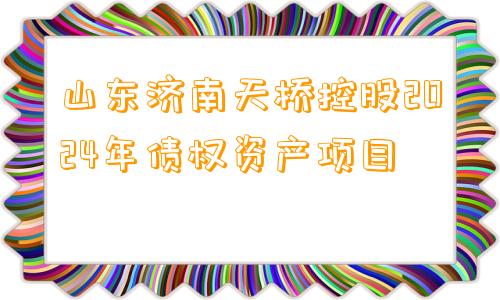 山东济南天桥控股2024年债权资产项目