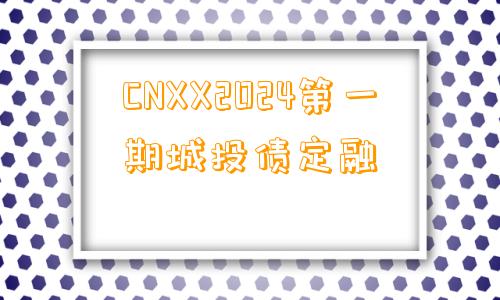 CNXX2024第一期城投债定融