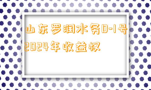 山东罗润水务D-1号2024年收益权