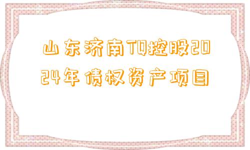 山东济南TQ控股2024年债权资产项目