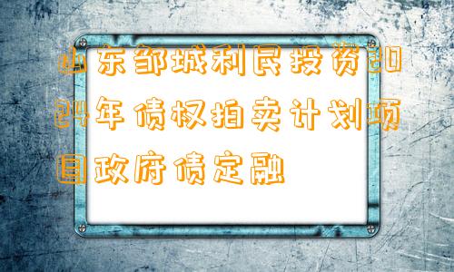 山东邹城利民投资2024年债权拍卖计划项目政府债定融