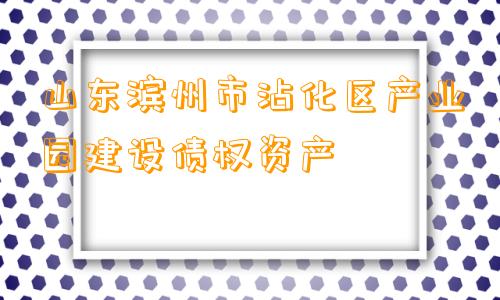 山东滨州市沾化区产业园建设债权资产