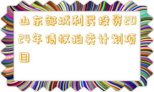 山东邹城利民投资2024年债权拍卖计划项目