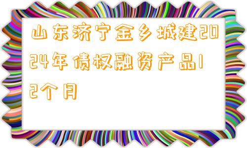 山东济宁金乡城建2024年债权融资产品12个月