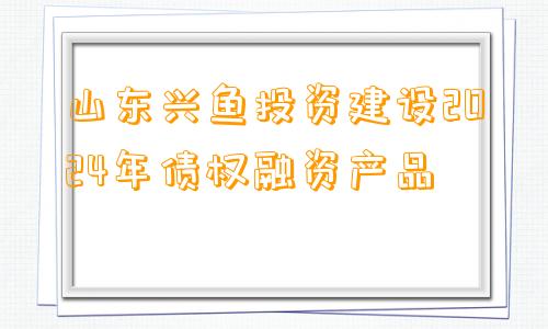 山东兴鱼投资建设2024年债权融资产品