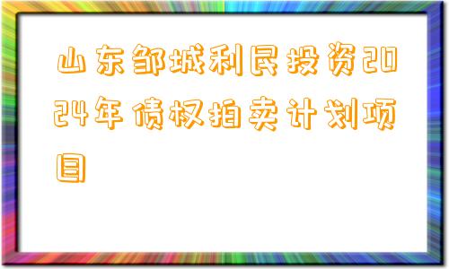 山东邹城利民投资2024年债权拍卖计划项目