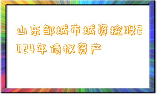 山东邹城市城资控股2024年债权资产