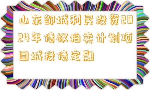 山东邹城利民投资2024年债权拍卖计划项目城投债定融