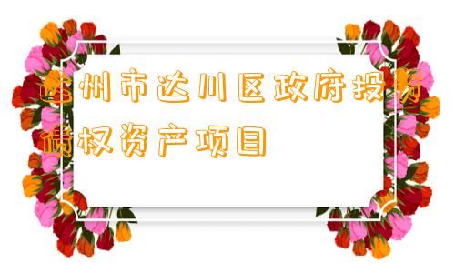 达州市达川区政府投资债权资产项目