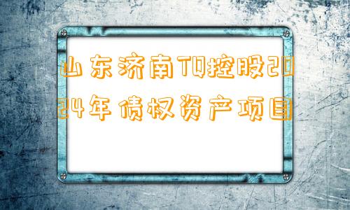 山东济南TQ控股2024年债权资产项目