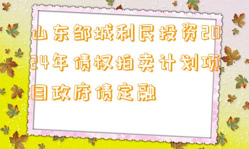 山东邹城利民投资2024年债权拍卖计划项目政府债定融