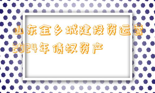 山东金乡城建投资运营2024年债权资产