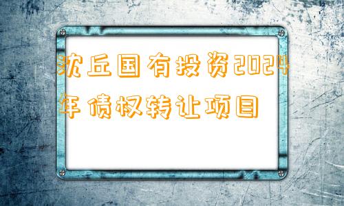 沈丘国有投资2024年债权转让项目