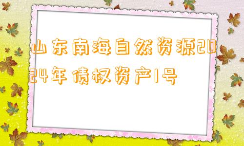 山东南海自然资源2024年债权资产1号