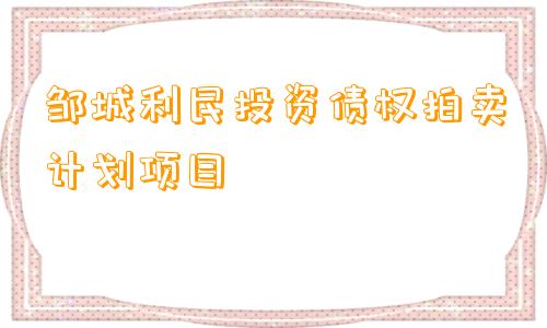 邹城利民投资债权拍卖计划项目