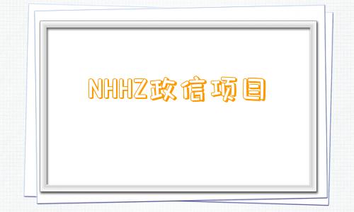 NHHZ政信项目